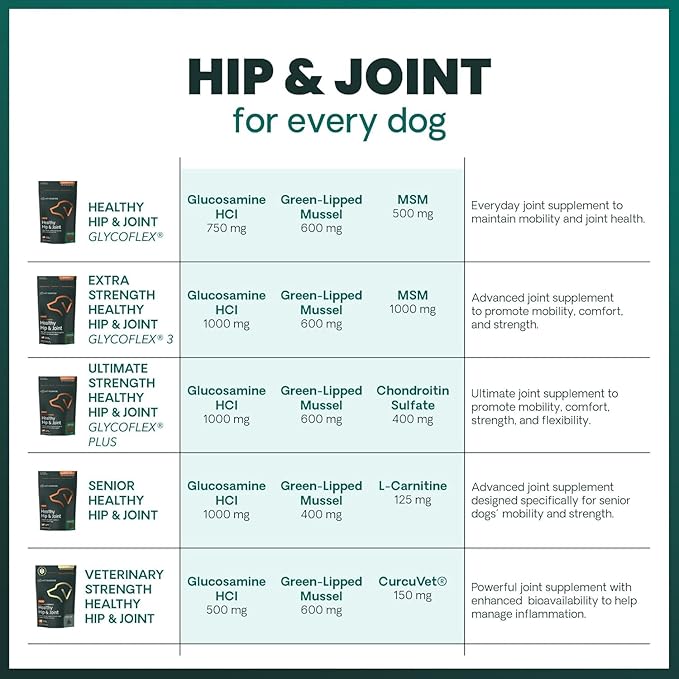VetriScience GlycoFlex Ultimate Strength Healthy Hip & Joint Glucosamine Supplements for Dogs, with MSM, Chondroitin & Green-Lipped Mussel, Soft Chews, Bacon, 120 Count - New Look