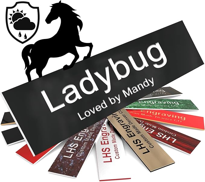 Personalized Horse Stall Name Plates, 2x6 Horse Stall Signs with Adhesive, All Weather UV Protected, Black Plastic White Letters - Made in USA - B2