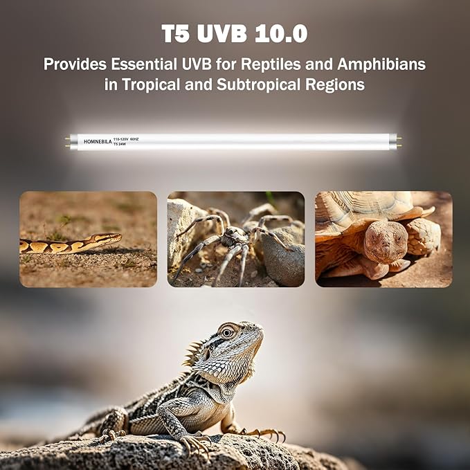T5 10.0 UVB Reptile Light Bulb 24W, UVA UVB Light Bulb for Reptiles, 2 Pack Reptile UVB Lamp Tube 22 Inch, for Bearded Dragon, Lizards, Chameleons