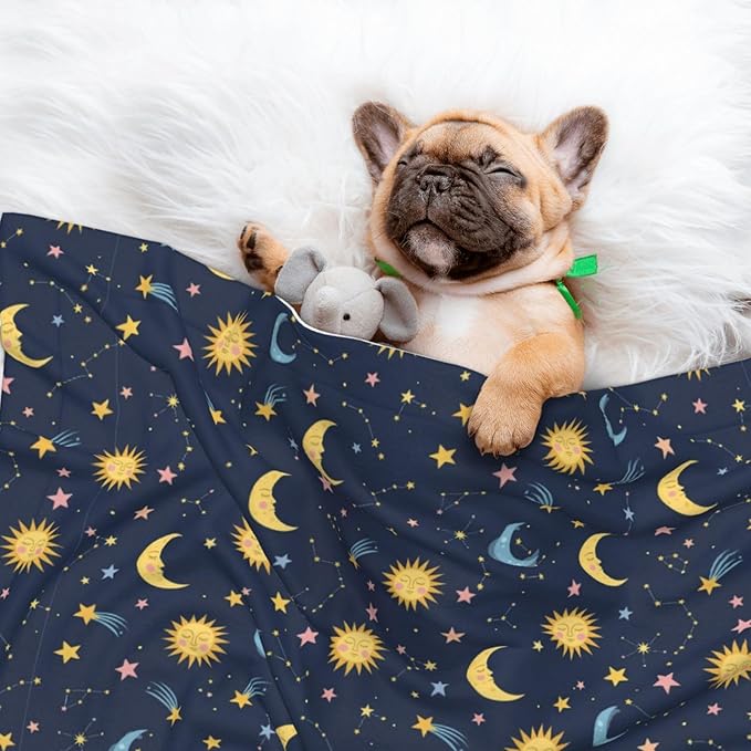 Pet Blanket for Car Rides Vet Visits, Colorful Stars, Two Sided Reversible Plush Design with Bumpy Dot Side Offers Comfort Home Piece On Go Travel