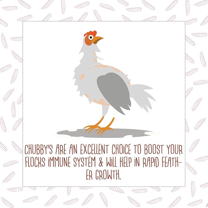2lb Dried Black Soldier Fly Larvae Non-GMO Dried Insects for Chickens High Protein Chicken Feed Meal Worms for Wild Birds & Chicken Treats for Laying Hens