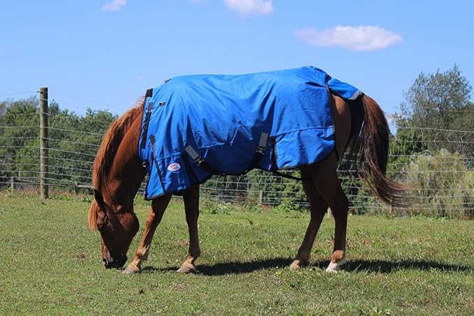 Derby Originals Nordic Tough 1200D Ripstop Waterproof Reflective Winter Horse Turnout Blanket 300g Heavy Weight, Royal Blue, 78"