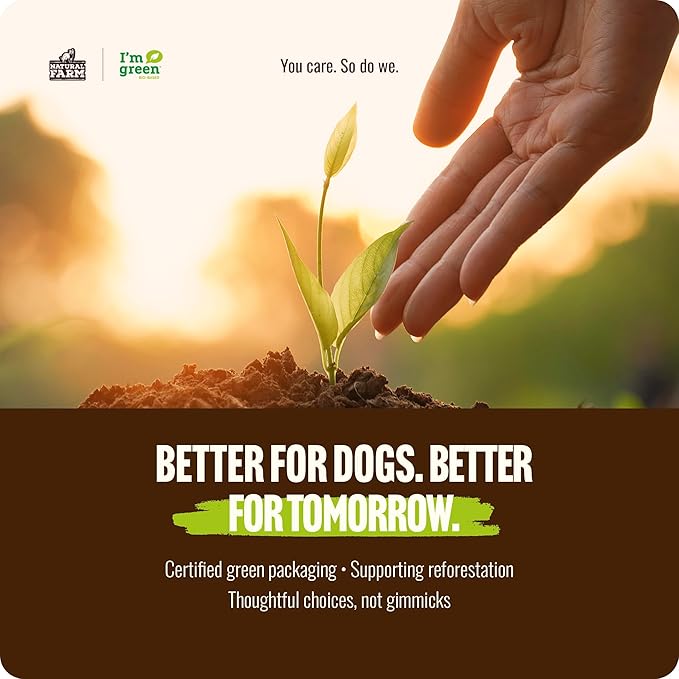 Natural Farm Odor-Free Braided Bully Sticks (4-5 Inch, 5 Pack) - 100% Grass-Fed Beef, Grain-Free, Low Fat & Fully Digestible Best Dental Treats, Safest Long Lasting Pizzle Chews to Keep Your Dog Busy
