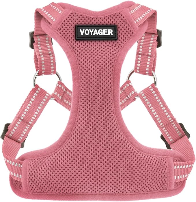 Best Pet Supplies Voyager Adjustable Step-in Flex Breathable Mesh Dog Harness for Small Medium Large Dogs (Pink), S