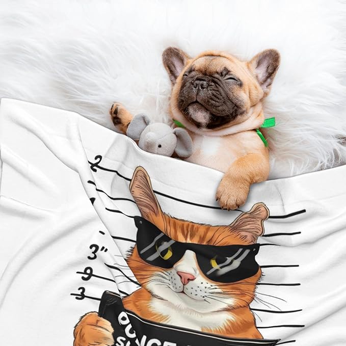 Cat Holding Mugshot Sign Print Soft Plush Pet Blanket, Washable Dog Blanket, Cat Fleece Throw, Puppy Bed Crate Mat & Sofa Couch Protector - Large