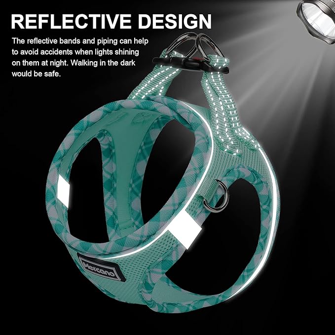 Mercano Soft Mesh Dog Harness and Leash Set, No-Chock Step-in Reflective Breathable Lightweight Easy Walk Vest Harnesses with Safety Buckle for Small Dogs, Cats (Light Green, M)