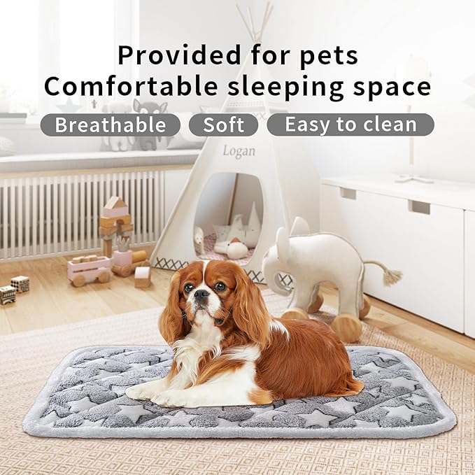 Dog Crate Mats, Soft Reversible Dog Bed Mat, Cat Mat - 24x16 Inch, Short Plush Pet Mat Crate Mat for Small Dogs, 0.6-inch Thick Thin Dog Mat, Machine Washable Ideal for 24-Inch Dog Crates