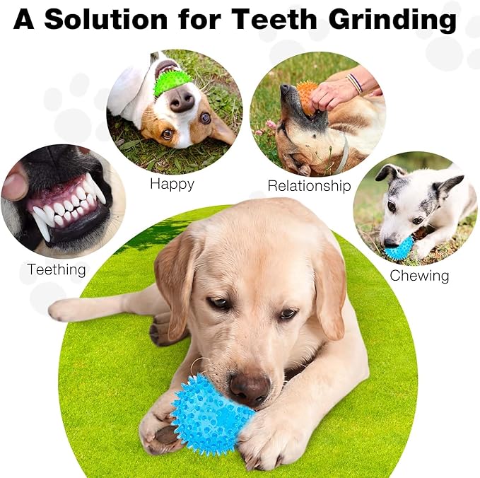 Puppy Toy 2.5” Squeaky Dog Balls Toys and Spikey Dog Ball for Aggressive Chewers for Small Dogs Dog Balls for Clean Teeth and Training （6 Pack