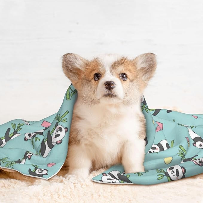 Two Sided Plush Pet Blanket for Crates Carriers Home Use, Chinese Cute Panda, Reversible Throw with Cozy Dot Fabric and Silky Reverse for Small Large Pets