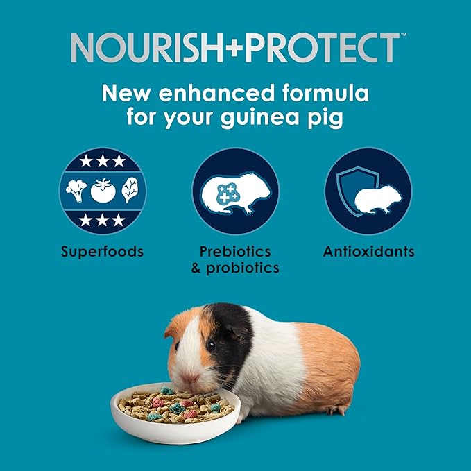 Kaytee Forti-Diet Pro Health Nourish+Protect Guinea Pig Food, Comprehensive Nutrition Backed by Science, Digestive Health, Immune Support, 8 pounds