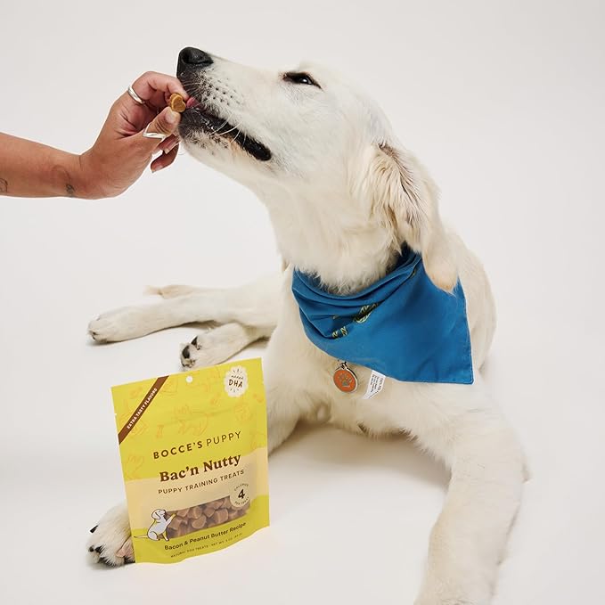 Bocce's Bakery Bac’n Nutty Cookie + Training Dog Treat Bundle – Natural, Wheat-Free Soft & Chewy Cookies Made with Real Ingredients and Baked in The USA – 2 Pack Bundle