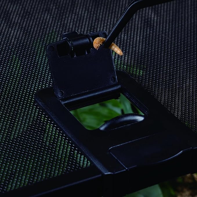 Reptile Terrarium Tank, Glass Reptile Vivarium, Sliding Mesh Cover, for Lizards, Horned Frogs, Snakes, Spiders, Turtle (M, 4.8Gal (12"x12"x7.8"))