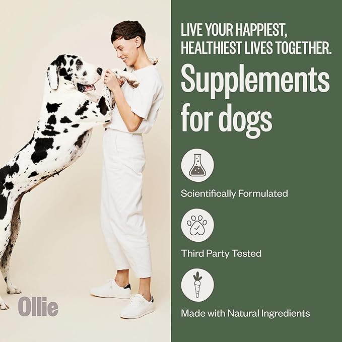 Ollie Belly Rubs Dog Probiotic Chews - Probiotics for Dogs and Ollie Chicken and Apple Recipe Jerky Dog Treats - Dog Jerky Treats All Natural