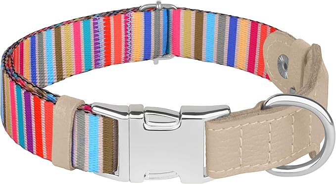 AirTag Dog Collar for Small Medium Large Breed - Adjustable Cute Pattern Dog Collar with Airtag Holder - Soft Leather Tracker GPS Apple Air Tag Pet Collars (Large, 17"-21" Neck Fit, Serape)