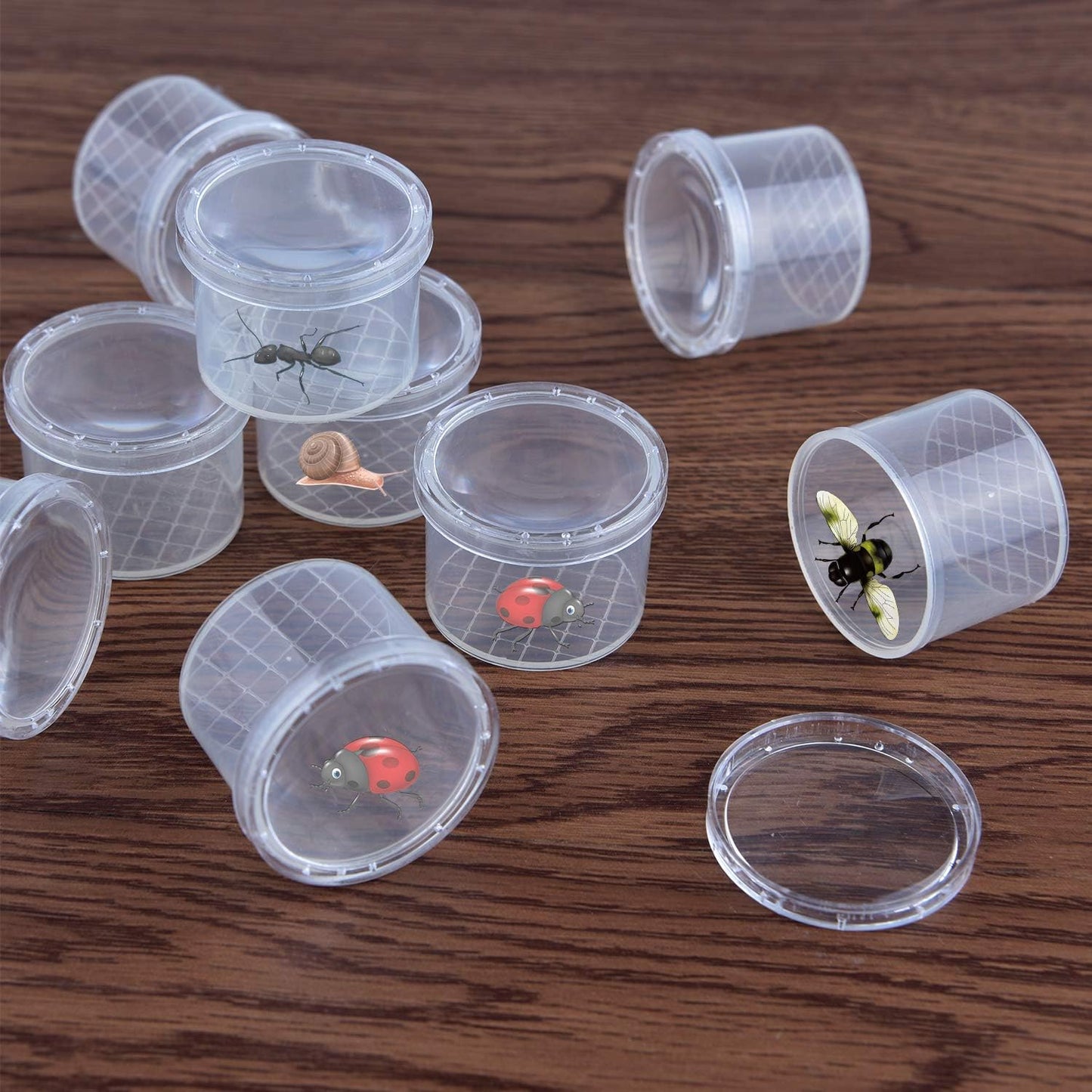 Coopay 20 Pieces Bug Viewer Critter Insect Cage Magnifying Insect Box Bug Magnifier Container Catcher Cage, Science Nature Exploration Tools