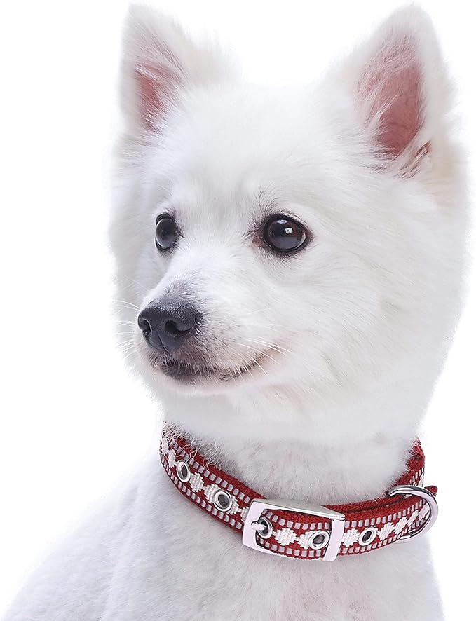 Blueberry Pet Reflective Jacquard Dog Collar with Neoprene Padding & Metal Buckle | Soft & Adjustable Safety Collar - Marsala Red, Neck 9-12.5", for Small Breed