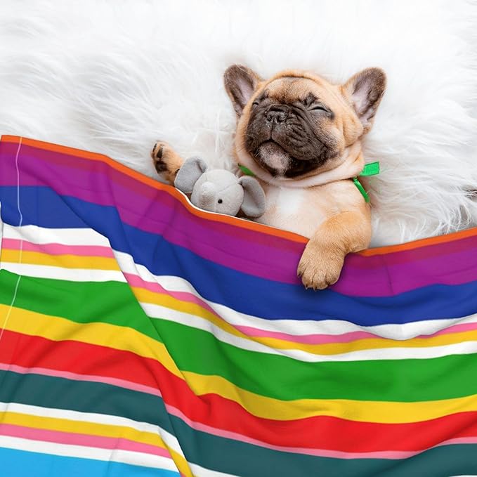 Reversible Plush Throw for Dogs and Cats, Novel Colorful Mexican Blanket Stripes, Double Sided Blanket with Nubby Dot Side and Sleek Side Ideal for Cuddling Nesting Security