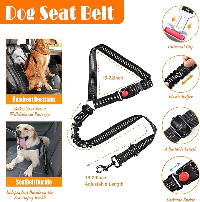 No Pull Dog Harness, Collar & Leash Set | Includes Dog Seat Belt, Collapsible Bowls & Poop Bag Dispenser. Ideal for Training, Walking, Hiking. Fits Small to Large Dogs(Black-M)