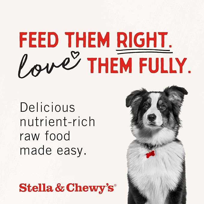 Stella & Chewy's Freeze-Dried Raw Tantalizing Turkey Meal Mixers- Dog Food Topper and Mixer - Made with 95% Cage-Free Turkey, Organs & Bone - Perfect for Picky Eaters - Grain-Free - 1 oz (Pack of 2)