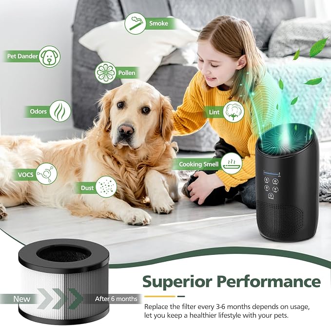 BS-03 HEPA Replacement Filter Compatible