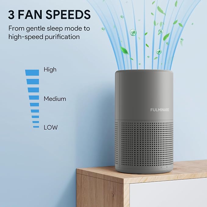FULMINARE Air Purifiers for Home H13 True HEPA Air Filter Quiet Air Cleaner