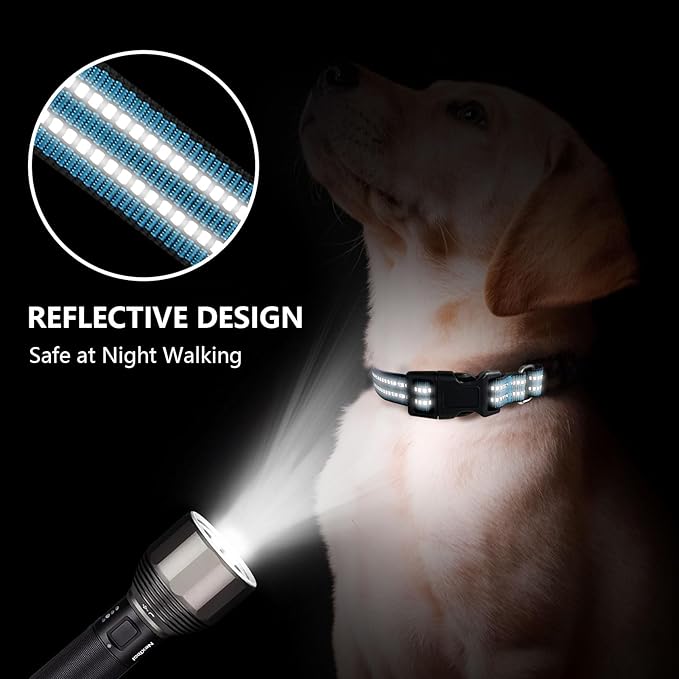 Martingale Dog Collar, Adjustable Nylon Reflective Collar with Quick Release Buckle (Gentian Blue, Medium)