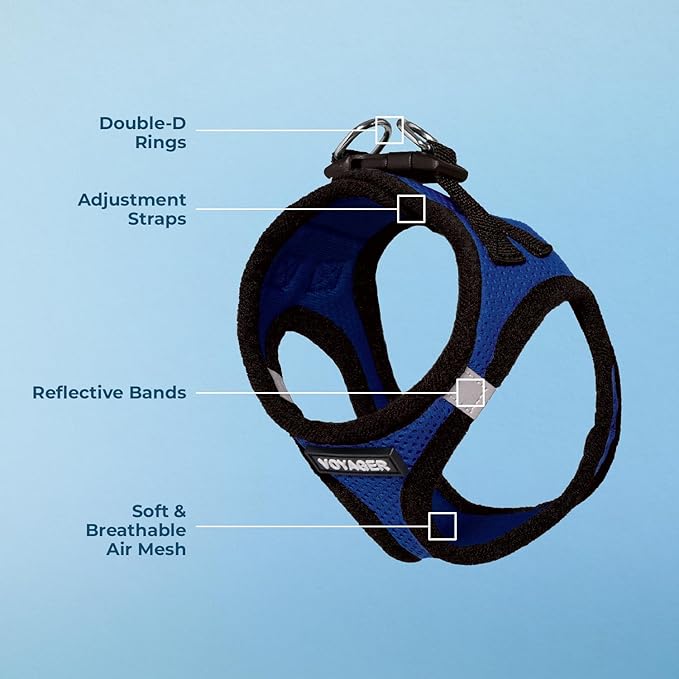 Best Pet Supplies Voyager Step-in Air Harness - All Weather Mesh, Reflective, No Pull Harness for Dogs, Cats - Secure with Hook & Loop Fastener, Buckle, Double D-Rings - Royal Blue/Black Trim, S