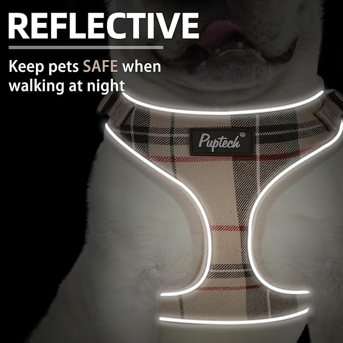 PUPTECK Soft Mesh Dog Harness and Leash Set Pet Puppy Cat Adjustable Reflective Padded Vest No Pull Harnesses, Beige, L