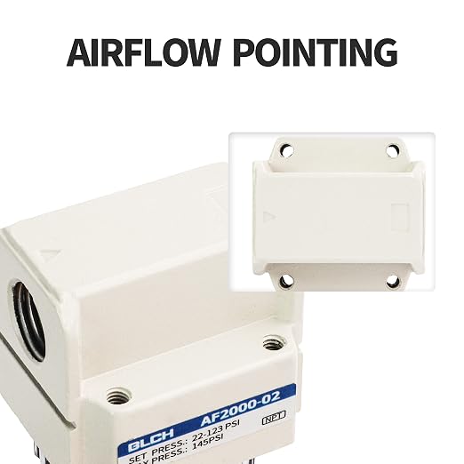 BLCH 1/4" NPT Air Line Dryer