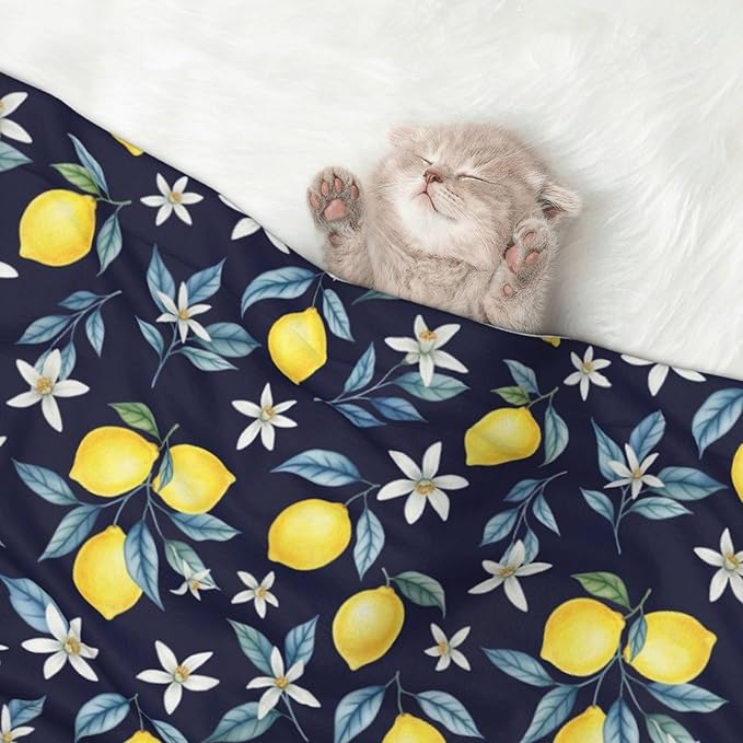 Two Sided Pet Cuddler Blanket for Anxiety Calming, Citrus Fruit Flower Lemon Green, Reversible Plush Design with Bubble Dot Pattern Provides Familiar Surface Anywhere