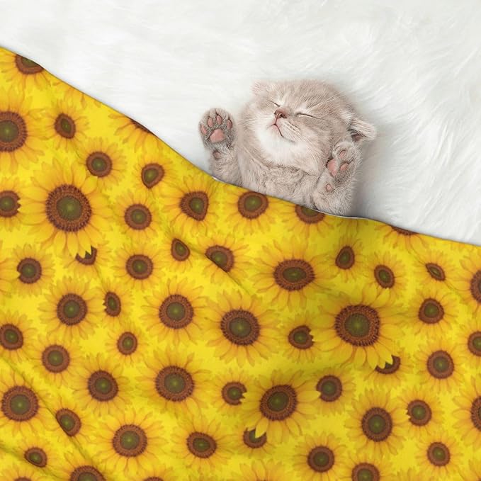 Pet Blanket for Couches and Beds, Beautiful Sunrise Sunflower Art, Reversible Double Sided Plush Design with Soft Bumpy Texture and Smooth Surface, Furniture Protector