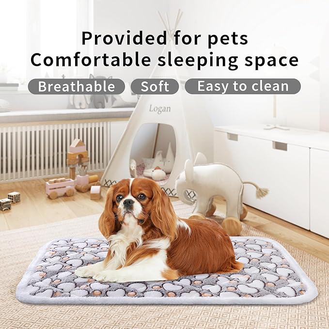 Soft Reversible Dog Crate Pad 2Pcs - 24x16 Inch, Plush Pet Mat, 0.6-inch Thick, Ideal for Small Dogs, Machine Washable