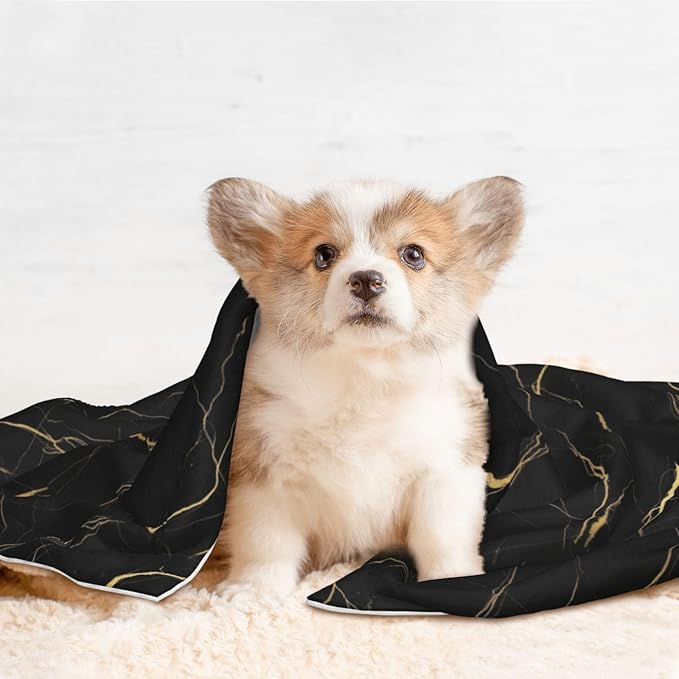 Pet Blanket for Couches and Beds, Chic Black and Gold Marble Texture, Reversible Double Sided Plush Design with Soft Bumpy Texture and Smooth Surface, Furniture Protector