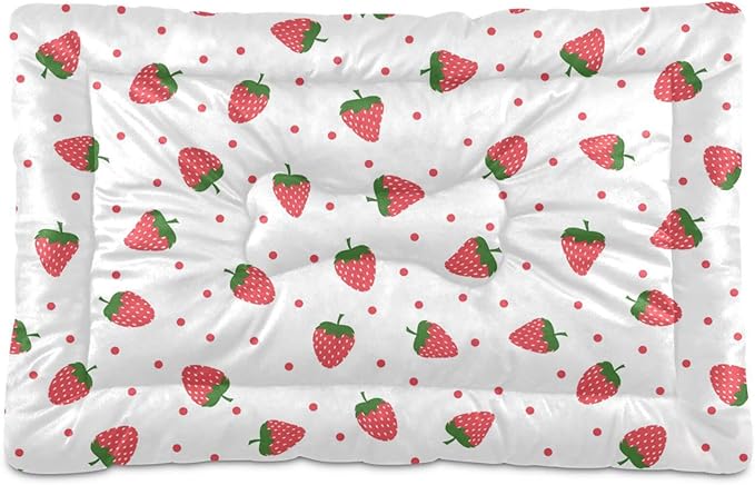 Strawberry Fruit Pet Bed Cute Dog Bed Mat Absorbing Non Slip Pad Pet Sleeping Mat for Small, Medium, and Large Dogs Puppy Cat 24 in x 18 in