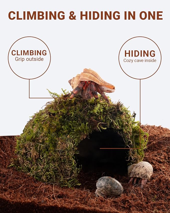 Reptile Hides and Caves – Leopard Gecko Tank Accessories, Natural Dome Reptile Cave & Shelter, Gecko Tank Accessories & Hermit Crab Shelter, 5.5×6.5×3in