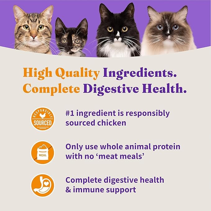 Halo Holistic Cage Free Chicken Cat Food, Healthy Grains Dry Cat Food, Complete Digestive Health, Kibble for Adult Cats, 10 lb Bag