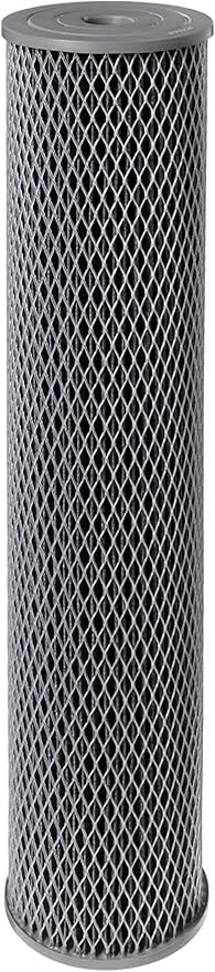 Pentair Pentek NCP-20BB Big Blue Carbon Water Filter, Whole House Non-Cellulose