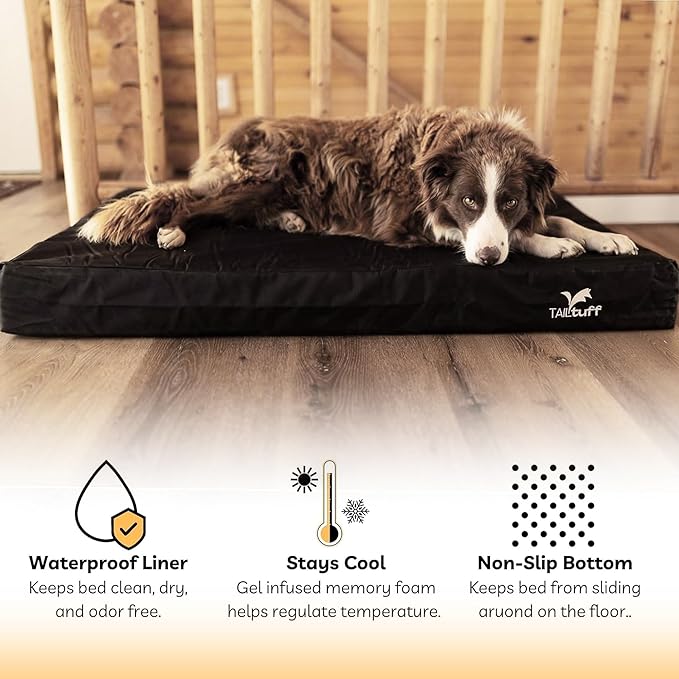 Elevated Dog Bed | Orthopedic Memory Foam | Large and Medium Dogs | Removable and Washable Cover | Waterproof Liner | Extra Large Gray