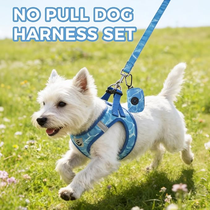 PAWCHIE Dog Harness and Leash Set, Step in No Pull Soft Pet Harness, Reflective Adjustable Puppy Vest for Small Medium Dogs Cats, No Choke Harness Vest with Poop Bag Holder for Walking,Running,Blue S