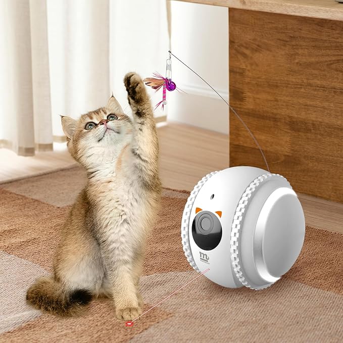 MOONBACK Indoor Cat Camera with Phone APP, 2-Way Audio Move Freely WiFi Wireless Pet Camera Robot for Dogs and Cats, Auto-Recharging, Privacy Protection