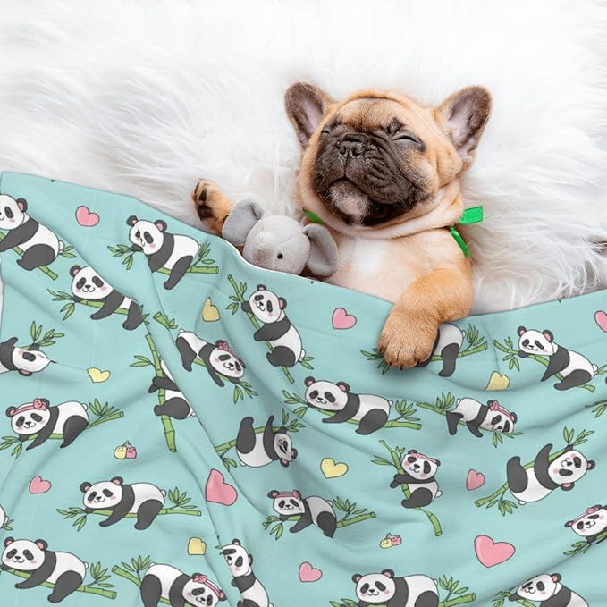 Two Sided Plush Pet Blanket for Crates Carriers Home Use, Chinese Cute Panda, Reversible Throw with Cozy Dot Fabric and Silky Reverse for Small Large Pets