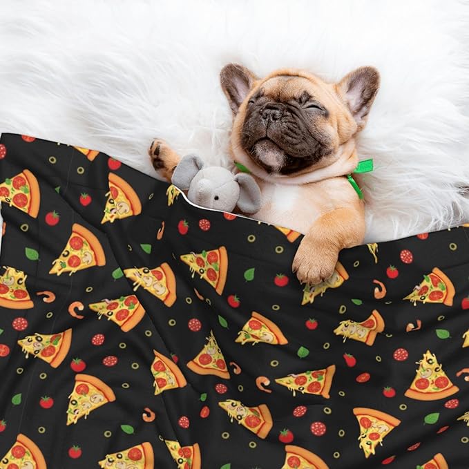 Pet Blanket for Travel and Home, Cartoon Pizza Slices, Reversible Plush Dot Design with Soft Grip Texture on One Side Perfect for Car Seats Moving Vehicles