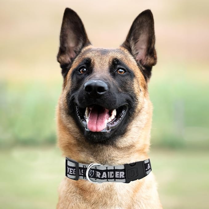 Pets First NFL Raiders Licensed PET COLLAR, Extra Large - Heavy-Duty, Strong, and Durable Dog Collar. Available in 31 Football Teams and 4 Sizes