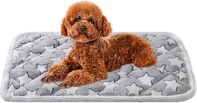 Dog Crate Mats, Soft Reversible Dog Bed Mat, Cat Mat - 24x16 Inch, Short Plush Pet Mat Crate Mat for Small Dogs, 0.6-inch Thick Thin Dog Mat, Machine Washable Ideal for 24-Inch Dog Crates