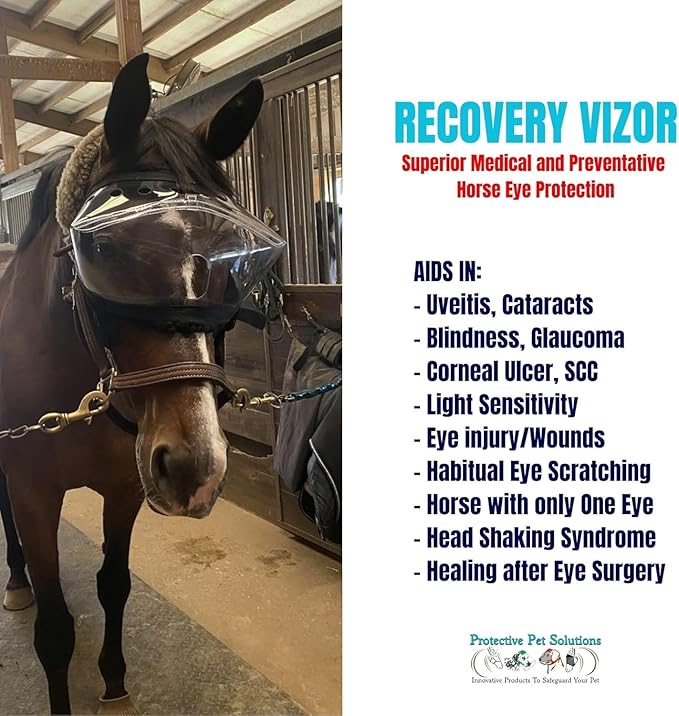 Recovery Vizor (Size Mini/Foal - Clear UV Tint) Medical and Preventative Horse Eye (Goggle) Protection Mask for Uveitis/Injury/Scratch or Corneal Ulcer, Infection, Blindness, Photosensitivity