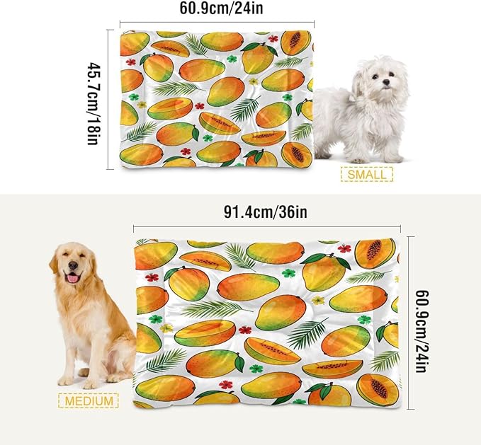Mango Fruit Dog Beds Crate Pad Washable Pet Mat for Dogs Cats, Non-Slip Travel Bed Pad, Indoor Outdoor Kennel Pad 24x18in