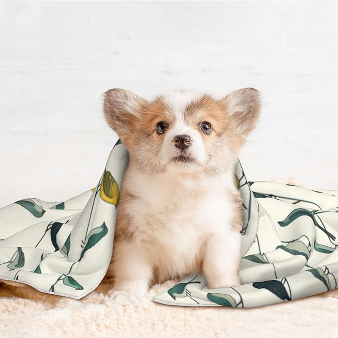 Two Sided Plush Pet Blanket for Warmth Comfort, Birds Animal Flying, Reversible Throw with Cozy Nubby Side for Chilly Nights Napping Spots Around House