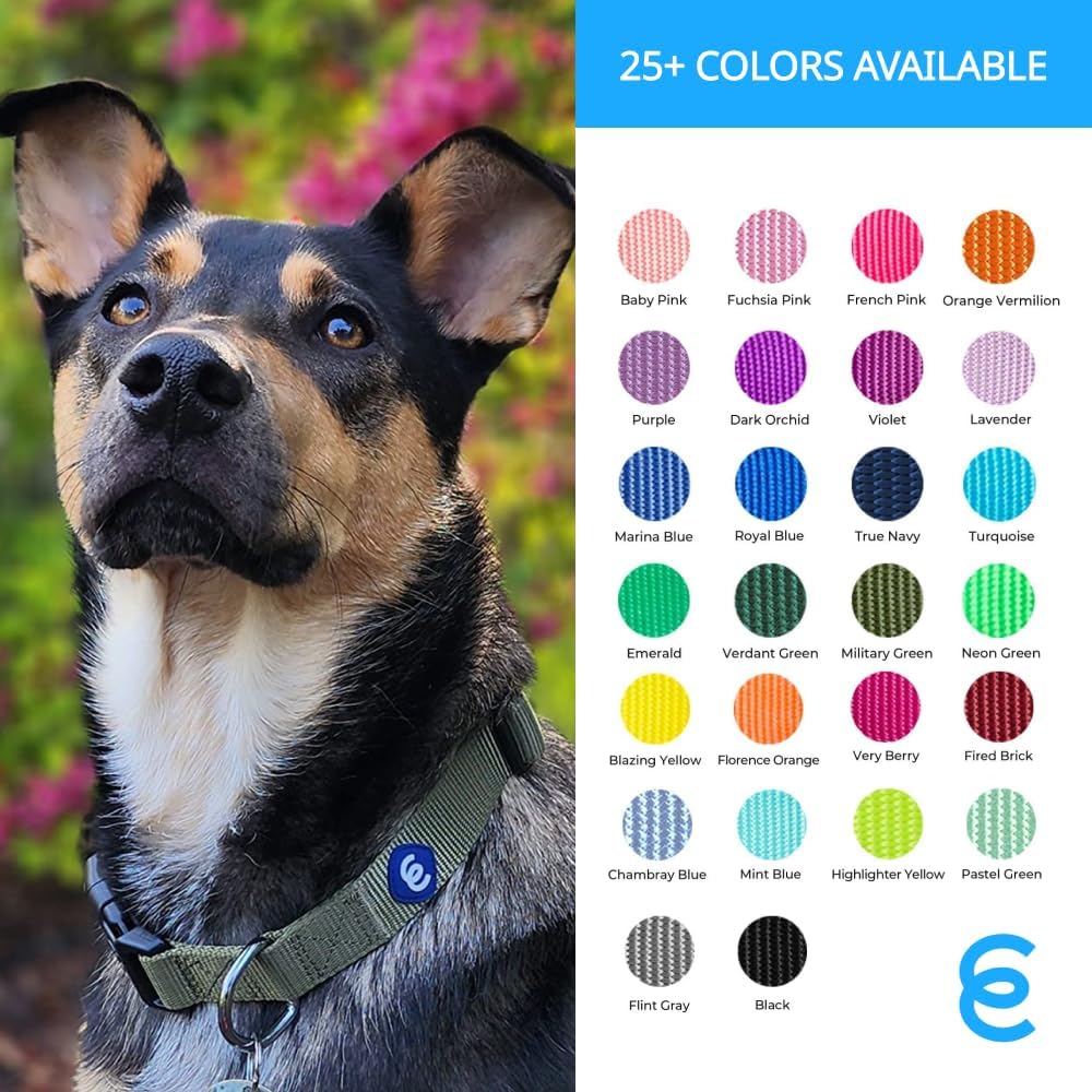 Blueberry Pet Essentials Matching Large Dog Collar | Adjustable Classic Solid Color Nylon Dog Collars for Large Dogs | Violet Dog Collar for Large Dogs