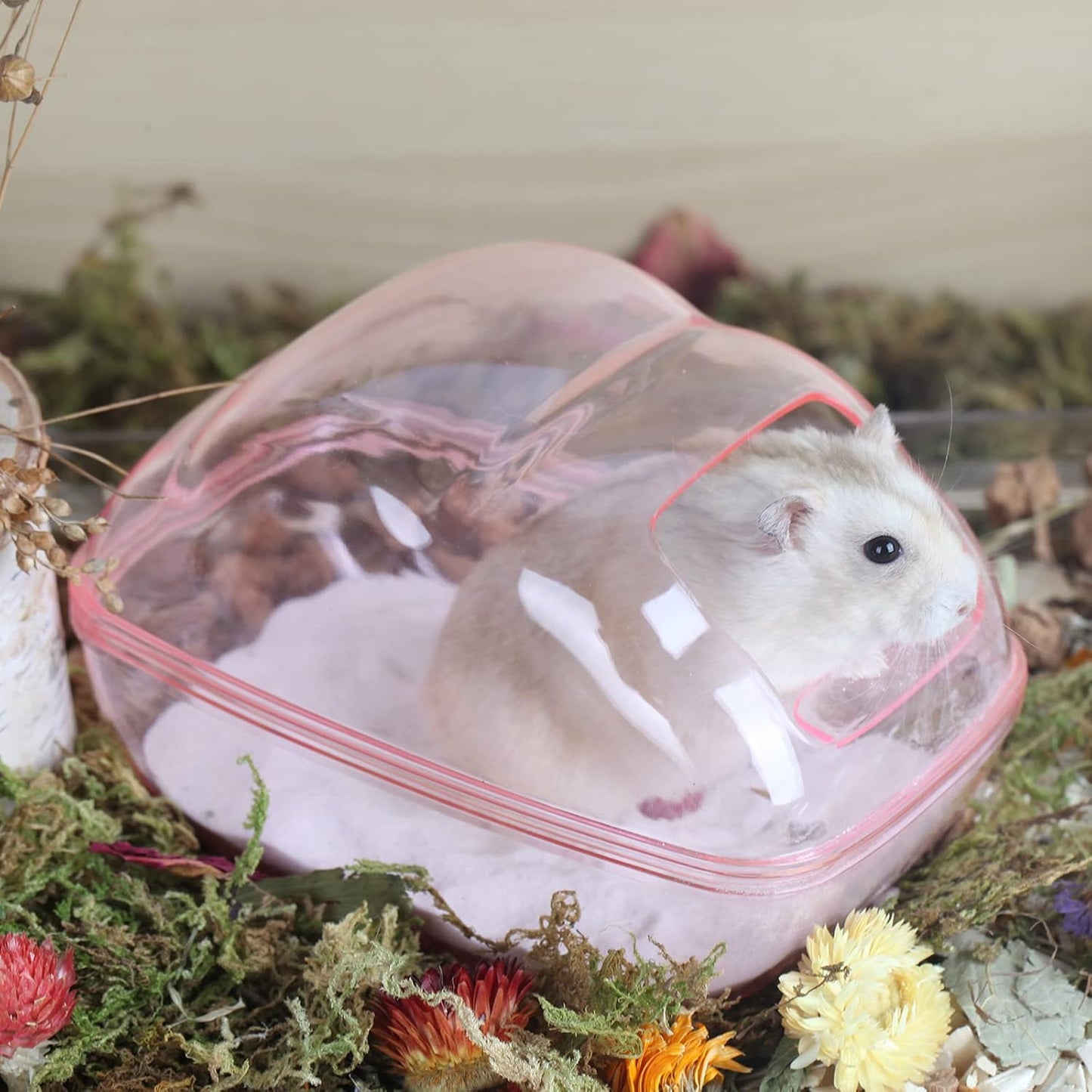 BUCATSTATE Hamster Dust Bath Container Hamster Sand Bath Kit Small Animal Toilet Cage Accessories for Gerbil, Syrian Hamster, Mouse, Rat (Pink, Medium)