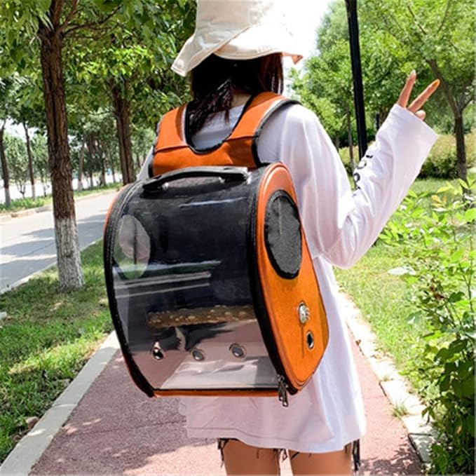 Bird Carrier Clear Parrot Outing Backpack APET Transparent Acrylic Bird Travel Carrier Parrot Travel Cage Panoramic Pet Backpack for Puppy Kitten 33x38x17cm (Brown)
